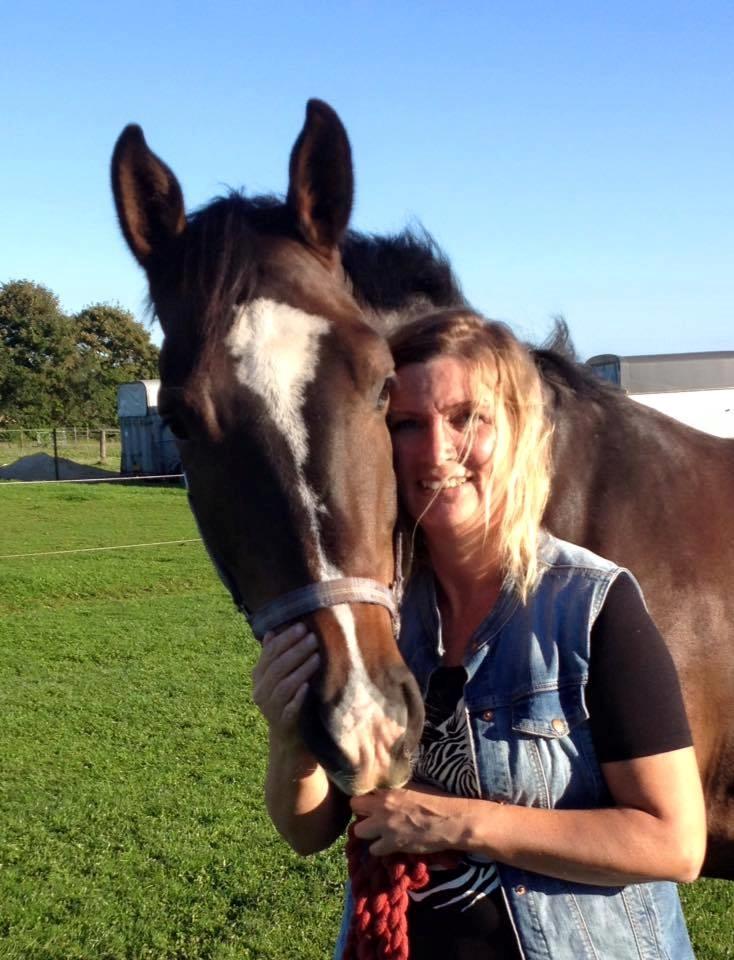 Dansk Varmblod Tm Beat The Clock billede 9