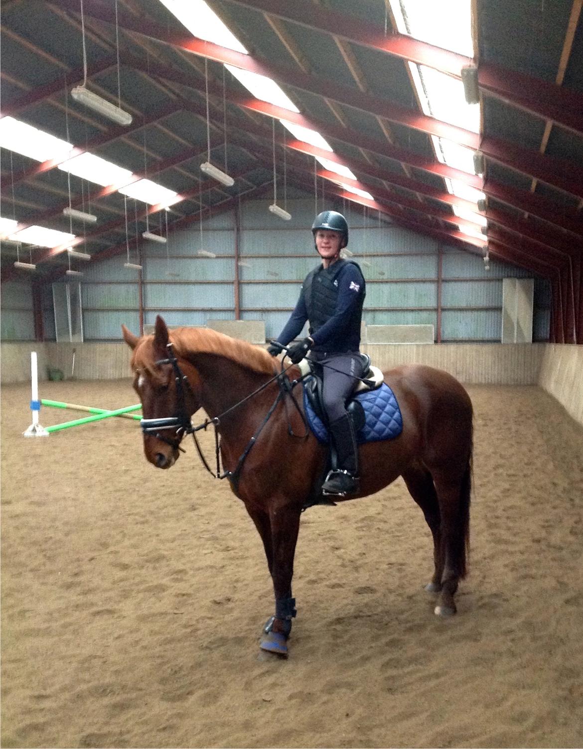 Anden særlig race Fiskegaardens Asterix billede 7