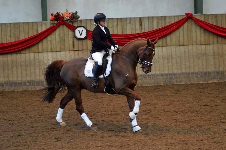 Anden særlig race Fiskegaardens Asterix billede 8