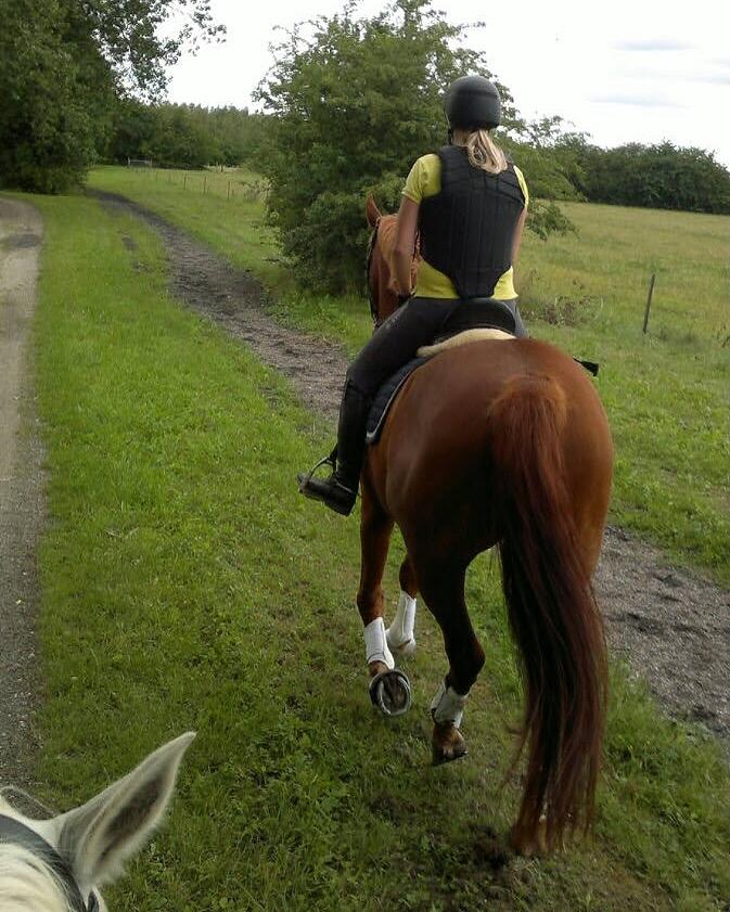 Anden særlig race Fiskegaardens Asterix billede 9