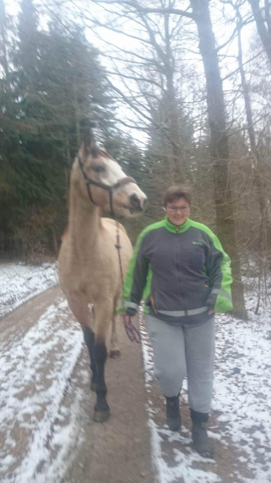 Anden særlig race MOSEGÅRDENS BRONCHEL tilbage til tidlige ejer. billede 6