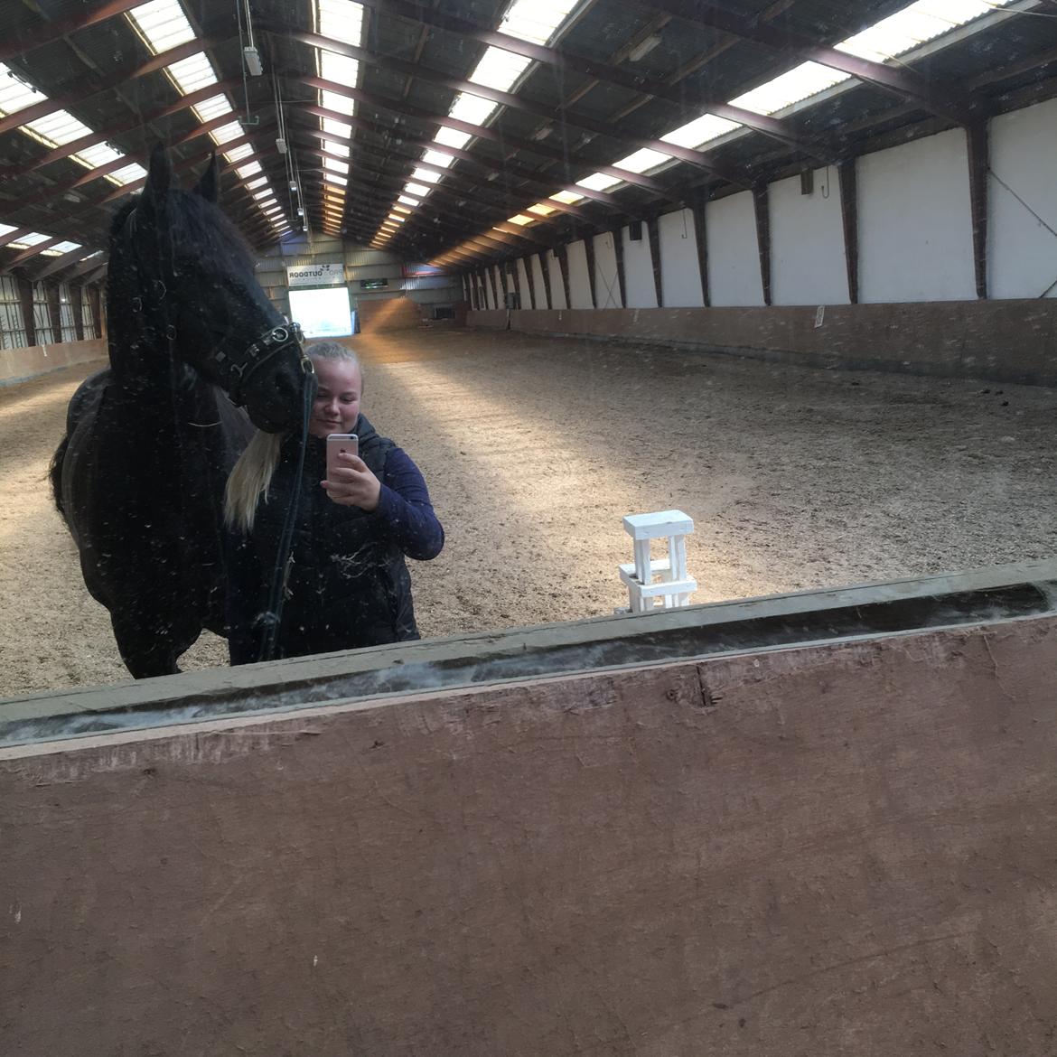 Frieser Zorro Á Ingegården billede 6