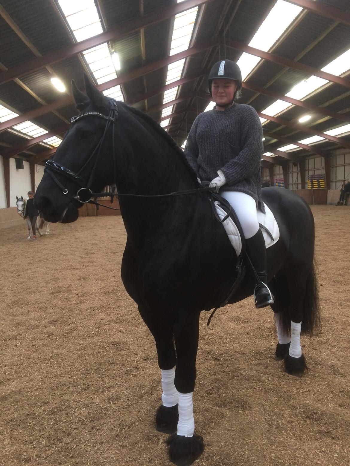 Frieser Zorro Á Ingegården billede 12