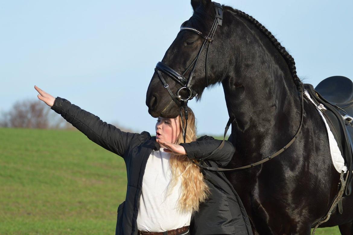 Frieser Zorro Á Ingegården billede 15