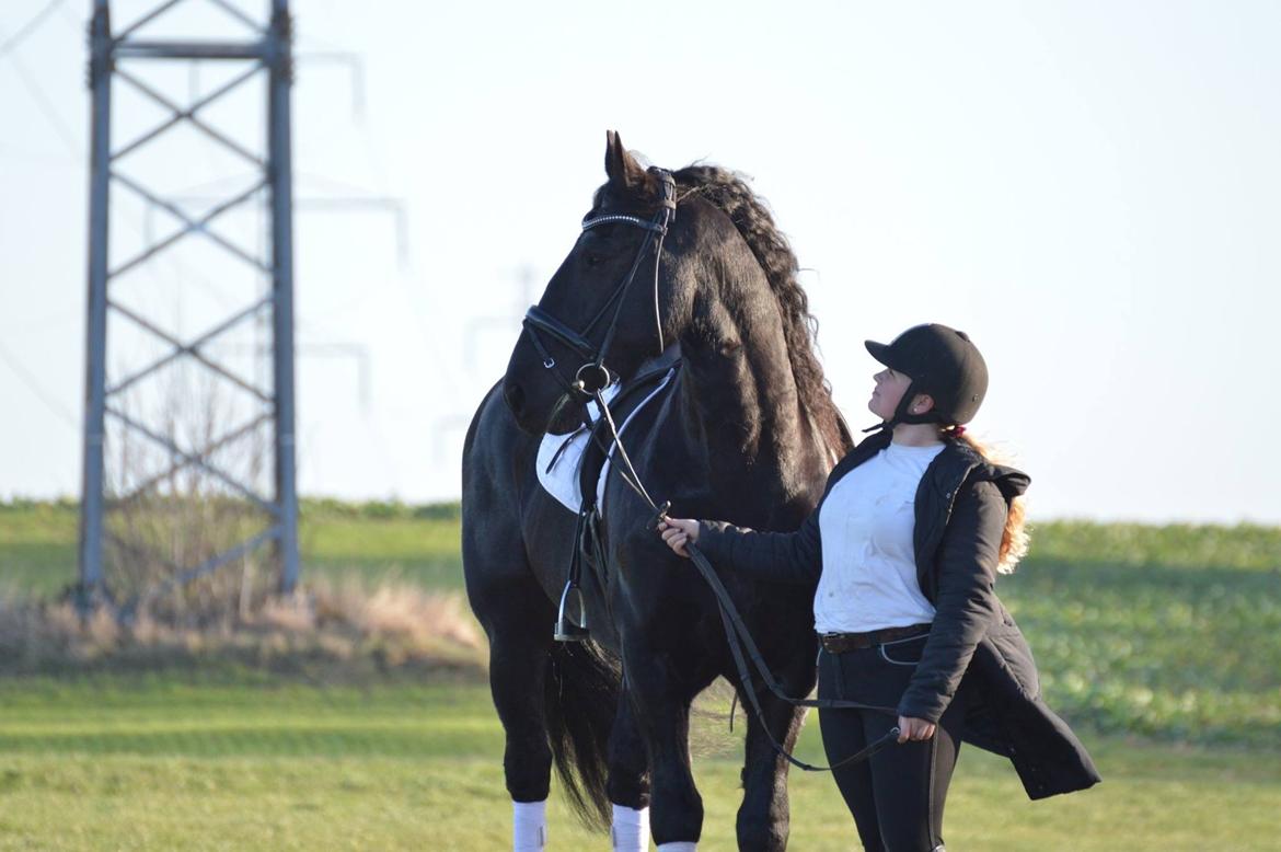 Frieser Zorro Á Ingegården billede 19