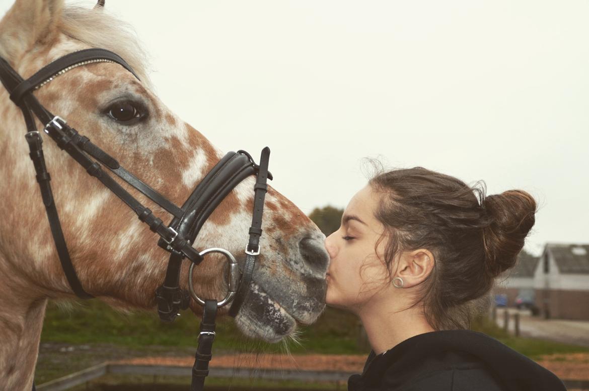 Anden særlig race Rex - Et sidste farvel billede 2