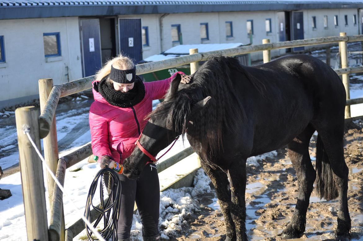 Frieser Thea Van D'Fedet (Toki) billede 10