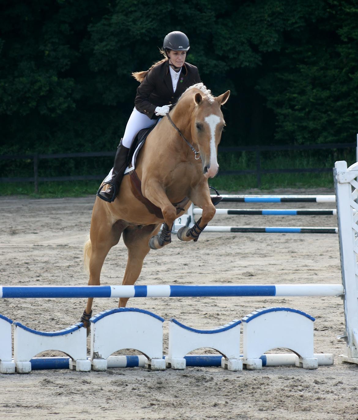 Palomino Kjærgaards Golden Champ - D. 13. juli 2016 - første springstævne billede 18