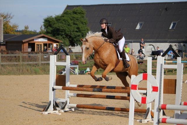 Palomino Kjærgaards Golden Champ - D. 25. september 2016 - HHR klubmesterskab billede 20