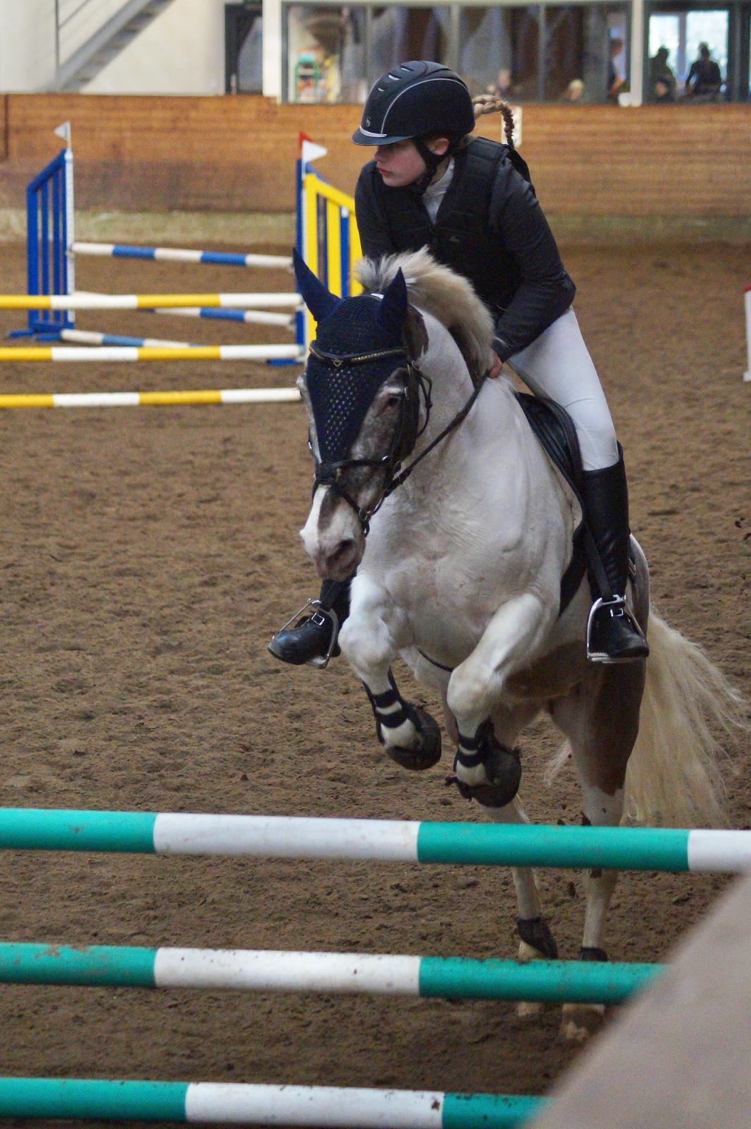 Anden særlig race Clements MilkyWay - Et billede fra vores 2. Udestævne  billede 2