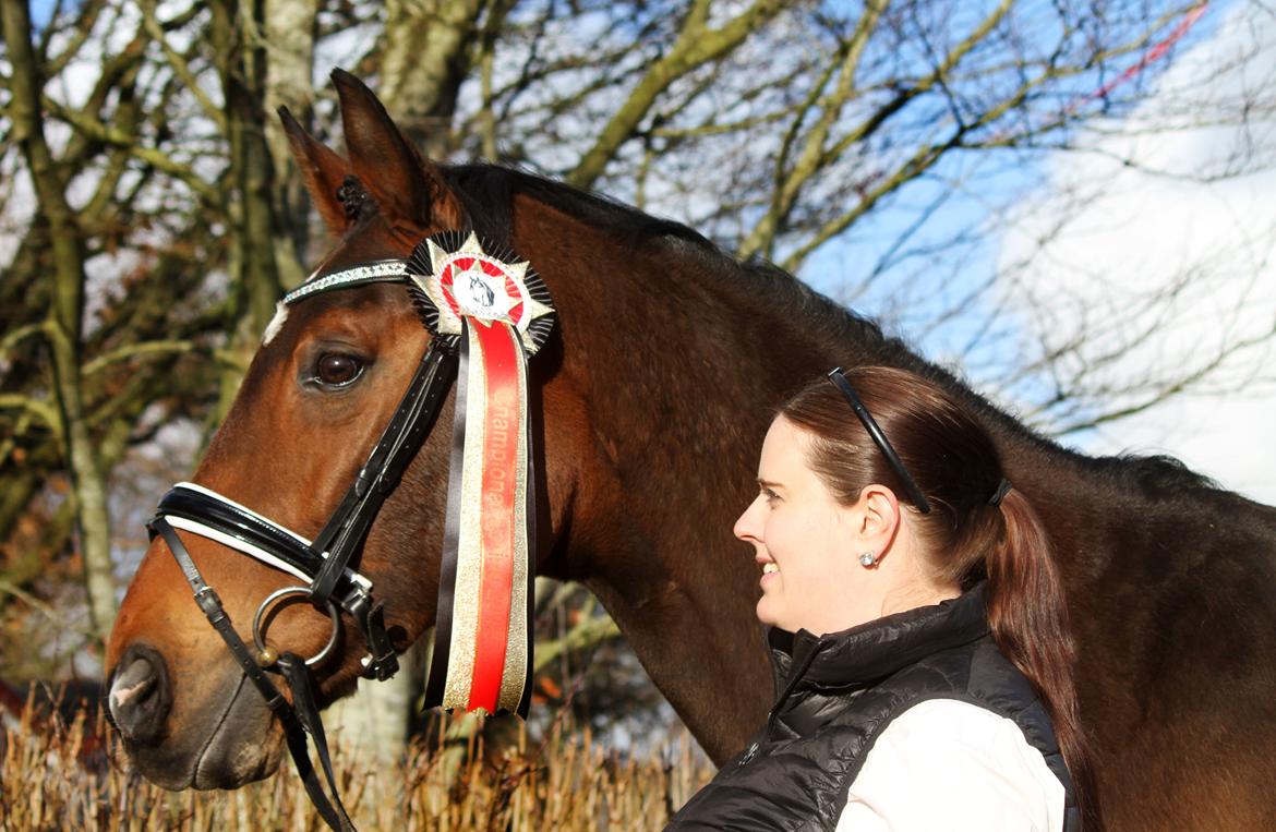 Anden særlig race Dalvangs Casper - Casper og mig blev klubmestre i spring i Gørding Rideklub med flest point for 2016 <3 billede 22