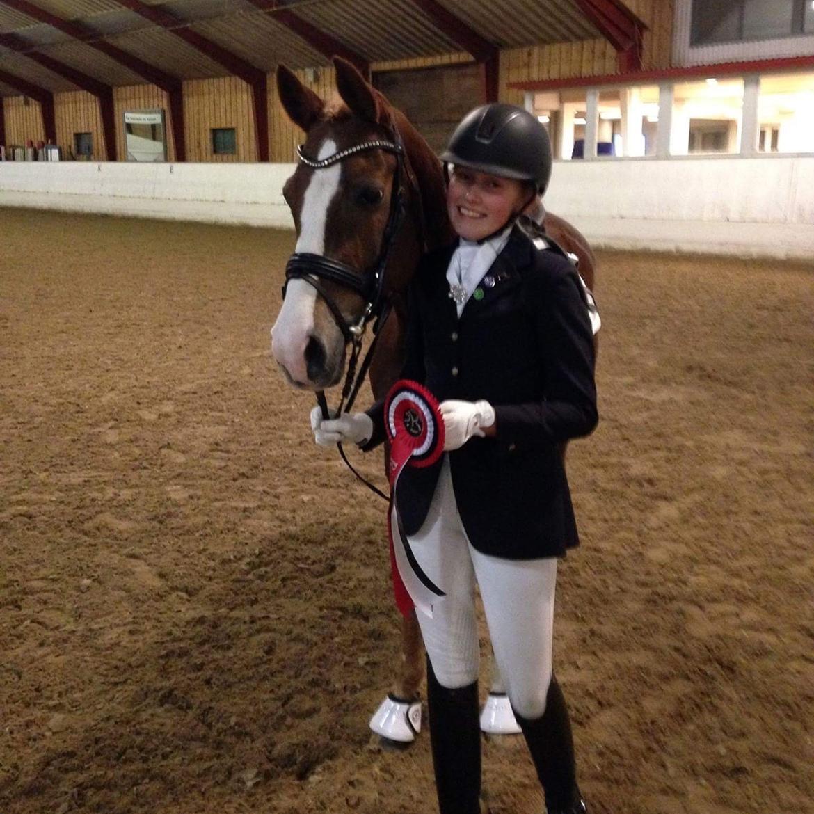 Welsh Partbred (Sec F) Madonna billede 12