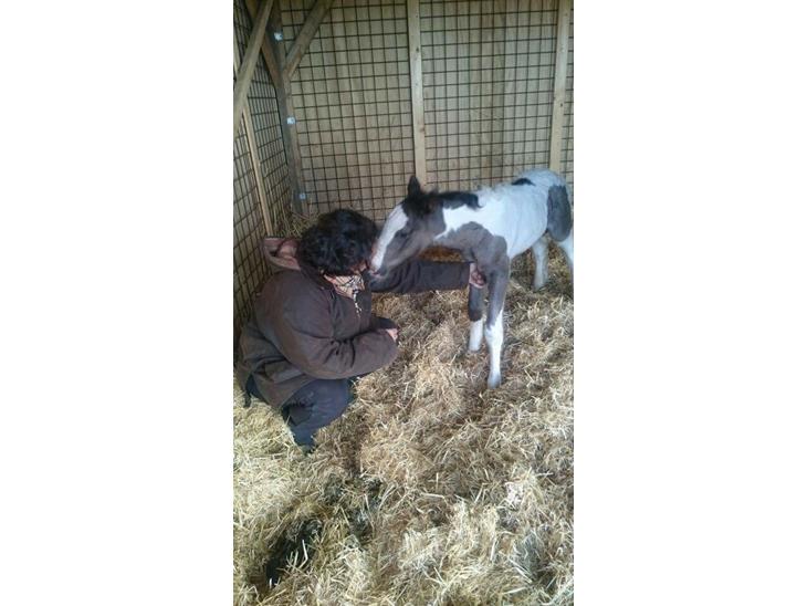 {{currentPhoto.altText}} billede {{currentPhoto.number}}