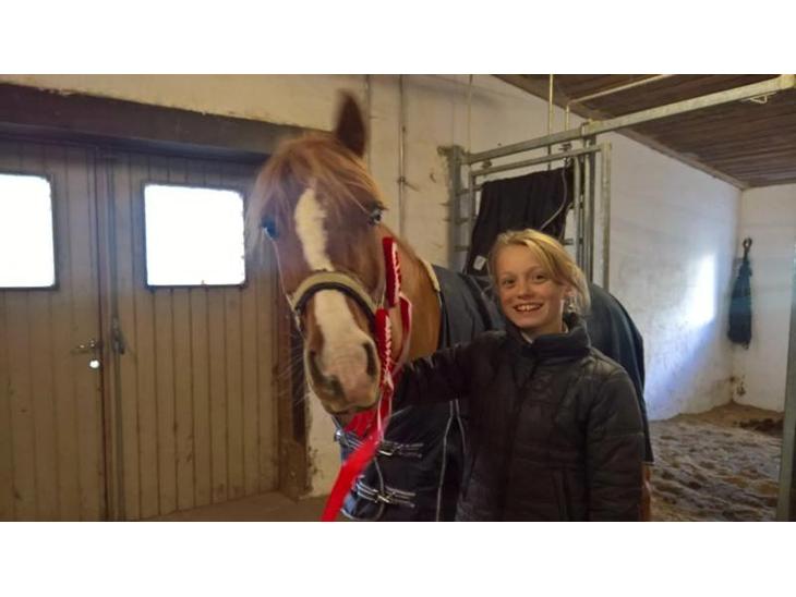 {{currentPhoto.altText}} billede {{currentPhoto.number}}