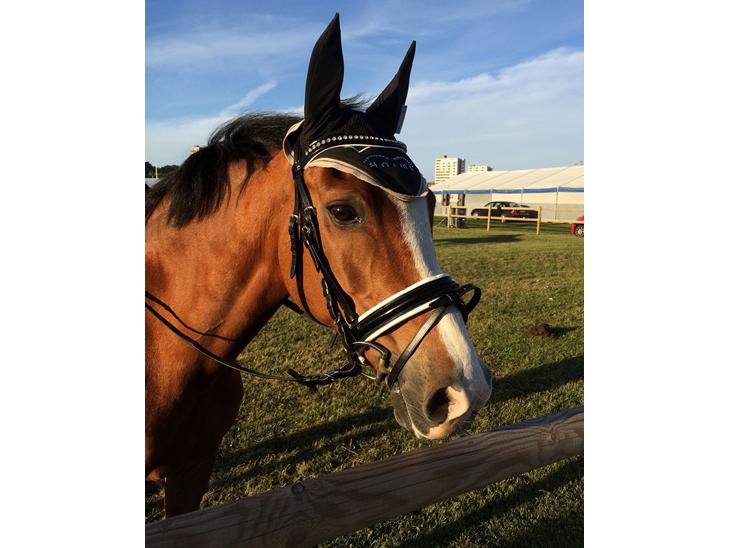 {{currentPhoto.altText}} billede {{currentPhoto.number}}