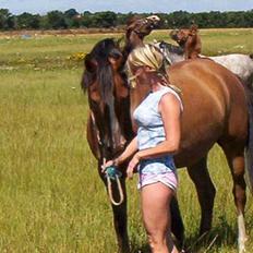 Sportsaraber (A) Zeppelin