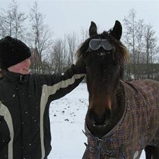 DSP Monte Verdi Vrå**R.I.P**