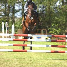 Anden særlig race º• Bastian <3 •º SOLGT