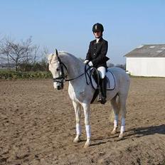 Anden særlig race siox