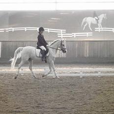 Anden særlig race siox