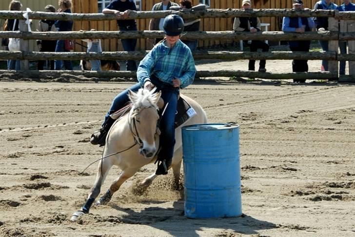 Fjordhest Mads (solgt) - ALLE BILLEDER ER PRIVATE OG SKAL NETOP IKK KOPIRES !!!!!!! Tak !  stævne over i vivild 2008 2-4 maj (Barrel Race 3 plads) billede 4