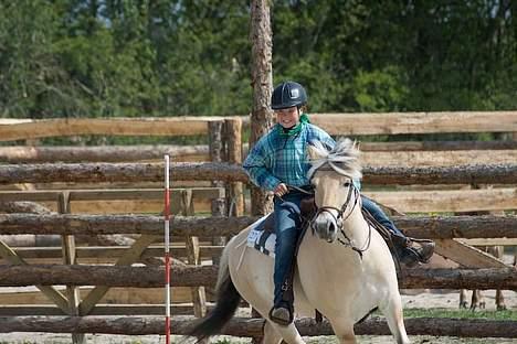 Fjordhest Mads (solgt) - ALLE BILLEDER ER PRIVATE OG SKAL NETOP IKK KOPIRES !!!!!!! Tak !  til stævne over i vivild . . . billede 12