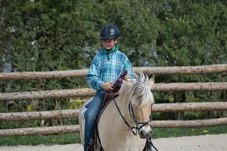 Fjordhest Mads (solgt) - ALLE BILLEDER ER PRIVATE OG SKAL NETOP IKK KOPIRES !!!!!!! Tak !  til stævne over i vivild . . . billede 13