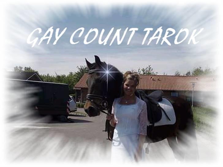 New Forest Gay Count Tarok - DP <3 - 6. dagen jeg fik ham, til min konfirmation d 6maj 2007<3  fotograf: pia(: billede 6