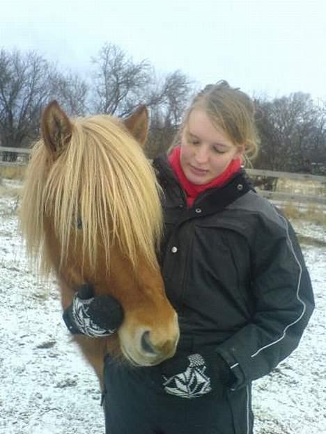 Islænder Tímon fra Korshøje  - Tímon vinteren 2005 Foto: Martin Daltoft billede 10