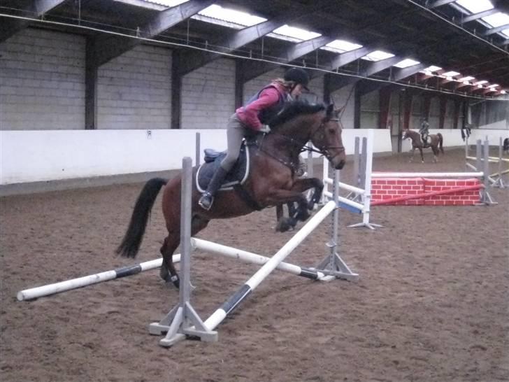 Anden særlig race Kally * R.I.P* 19/3-08 <3 - ¤Nyt!¤ Ved godt det er lidt sløret, men det var inden får, og uden blitz!  Men syntes i skulle se et af hans nyrere.. :´)  Opvarmning.. billede 18