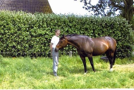 Oldenborg Calypso R.I.P (ingen udf) - har du noget? billede 6