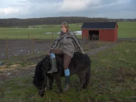Shetlænder Mathiesen - mig og thiesen, det er taget i vinters :) <3 billede 11
