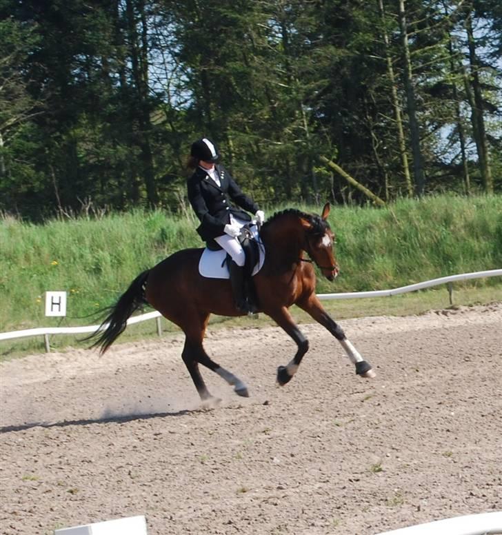 Anden særlig race Engedals E.T. - FORK, LC2, foto: Stine billede 9