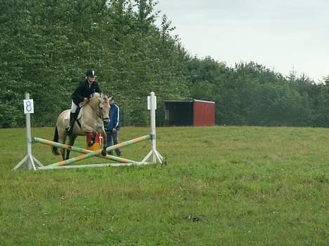 Fjordhest Tulle (Min<3) - Springstævne. LD. 2006 billede 11