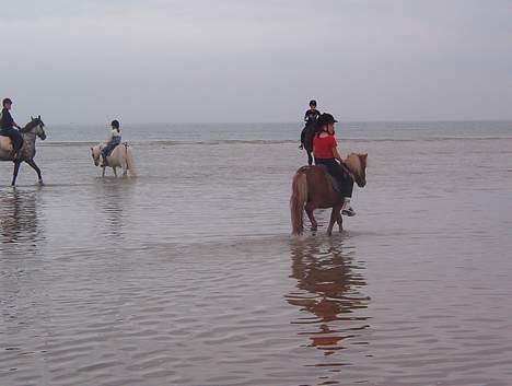 Shetlænder Tarzan!  - Uha vand er jeg ikke meget for.. billede 13