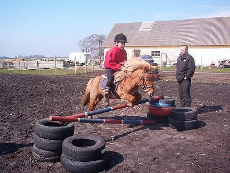 Shetlænder Tarzan!  - Hop . . billede 14