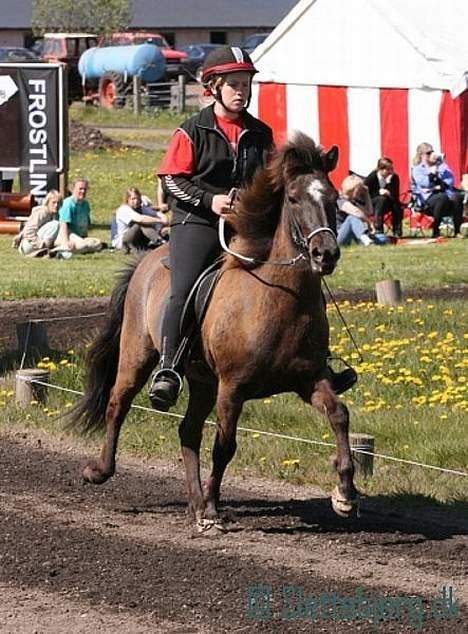 Islænder Una fra Grønlien - SOLGT - Bededagsstævnet Sjælland 04-04/05-07.. Tölt for løse tøjler.. Foto: Stine Gjelstrup billede 14