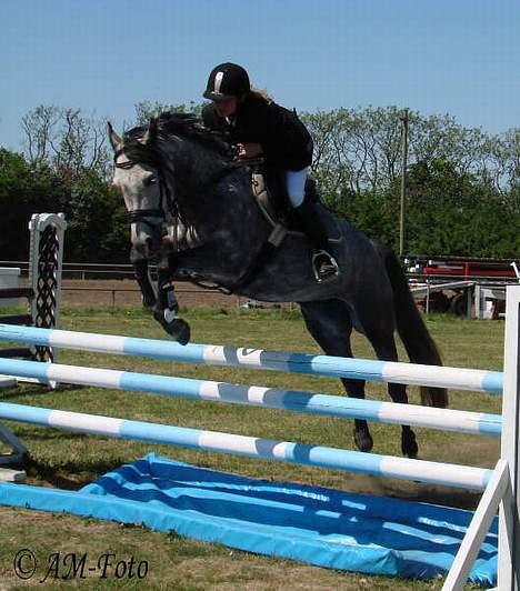 DSP West Side Sweet Babati  - Stævne i NVR den 5. maj 2007 billede 16