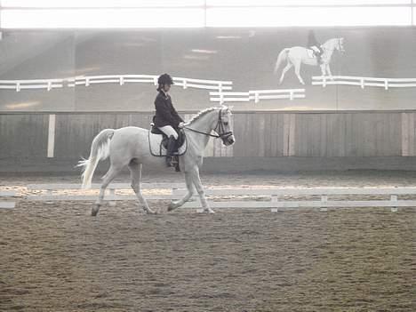 Anden særlig race siox - dreesur gikk ikkk så godt billede 3