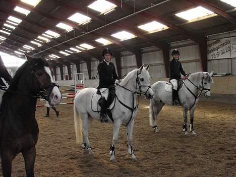 Anden særlig race siox - premieoverrekkelse til stævende i kbk i lc min billede 5