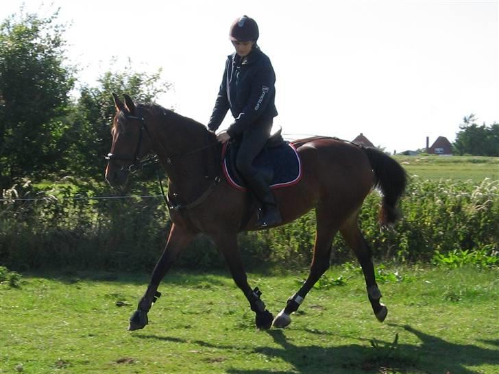 Traver Cindy Vestermarken  - Mig og Cindy pigen :D billede 2