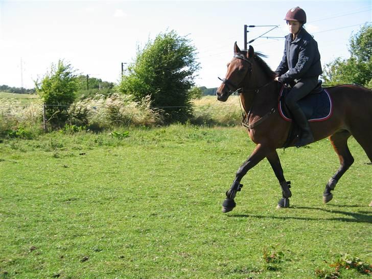 Traver Cindy Vestermarken  - Mig og Cindy (; <3 billede 8