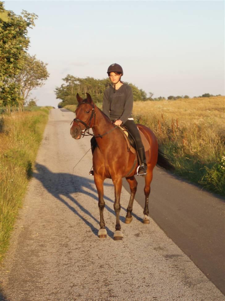 Traver Cindy Vestermarken  - Cindy <333 billede 11