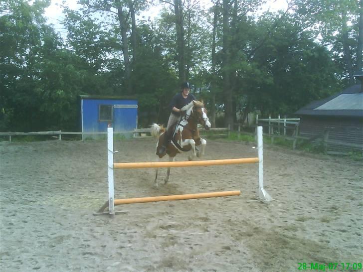 Hollandsk Sportspony Jangalene/ Freja  * R.I.P* - 16* SPRING :D billede 16