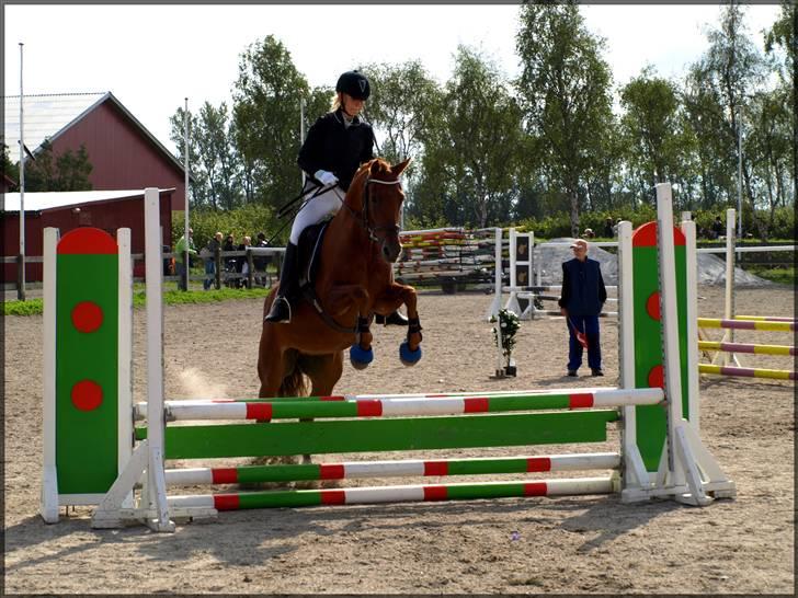 DSP Coelenhage'S Harmonie - Sejt :P Fejlfrie i 80 cm. og sløjfe :) billede 15