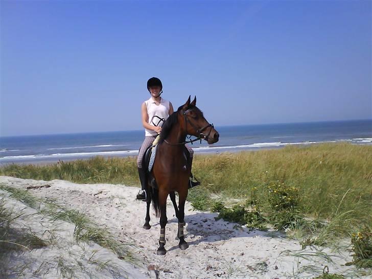 DSP Nikita - Nikita og mig..<33 billede 5