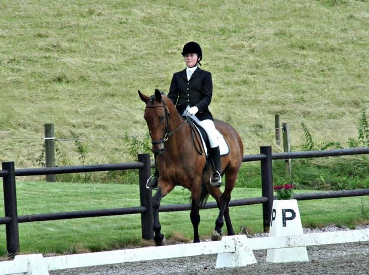 Holstener Cypresgårdens Macon <3 - før start i hvalsø.. juli 2007 foto: naha billede 6