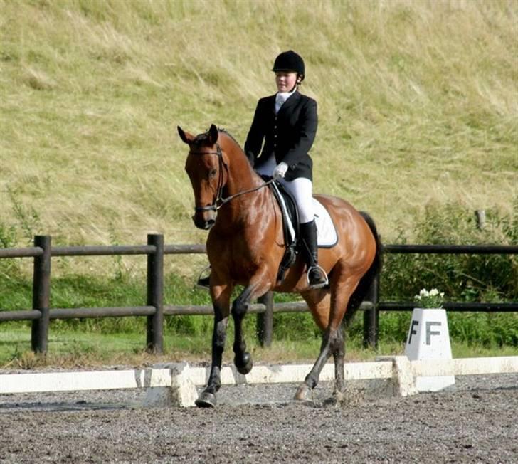 Holstener Cypresgårdens Macon <3 - LA4 i hvalsø.. juli 2007 foto: naha billede 10