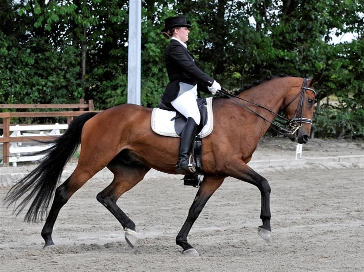 Holstener Cypresgårdens Macon <3 - træning søndag d.6/5-07 foto: naha billede 16