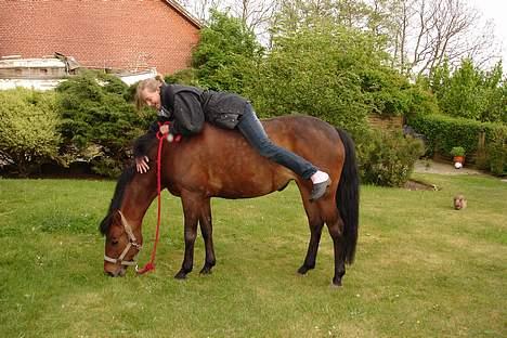 New Forest alina - kønne mig på alina ..... : ) billede 2